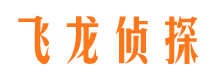 河东区捉小三公司